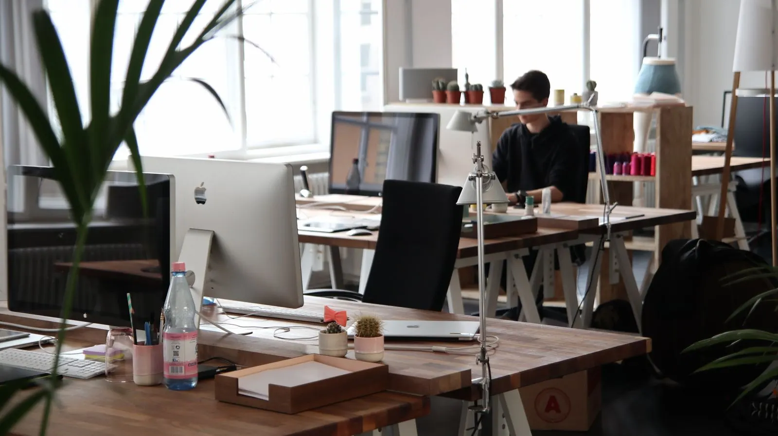 A bright studio with desks, screens and plants